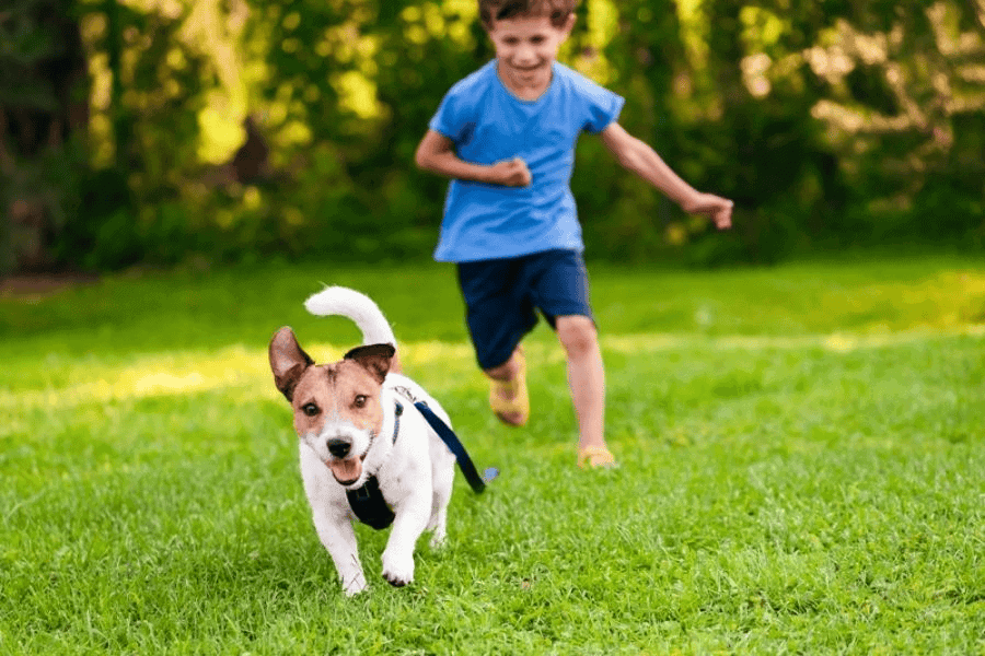 Do Not Chase Them