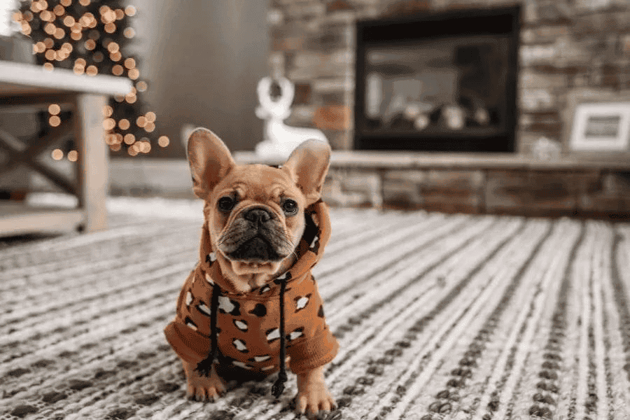 Make or Buy Cute Clothes