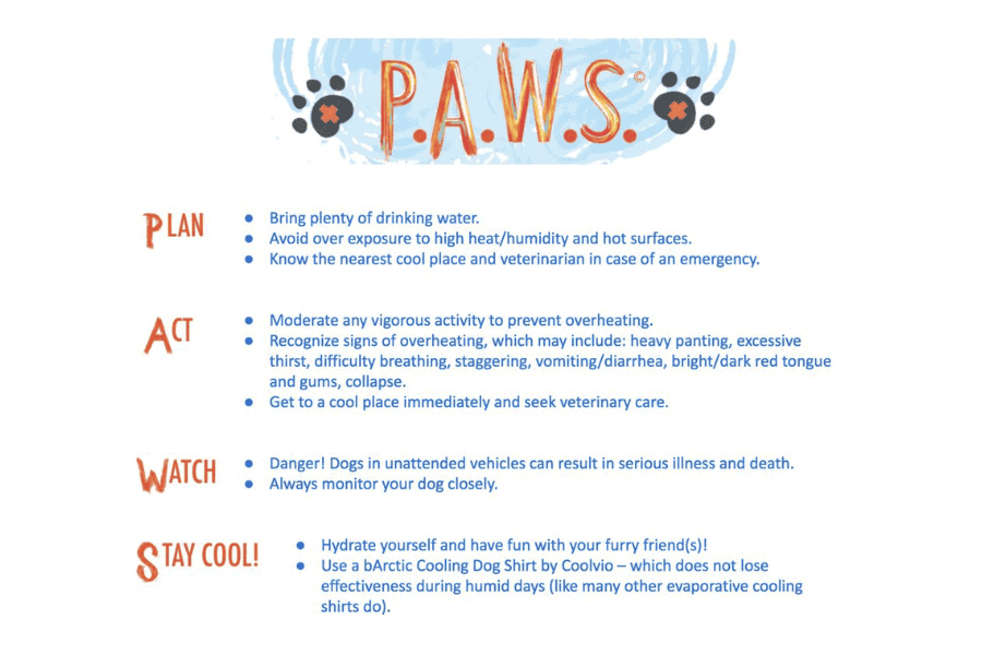 P.A.W.S