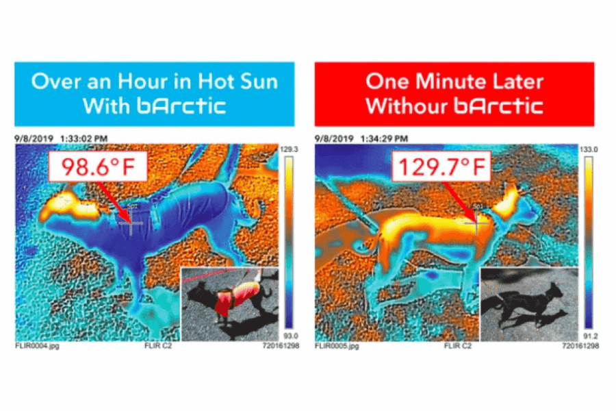 Your Pup's Fur Can Heat Up to 145°F on an 80°F Day! 