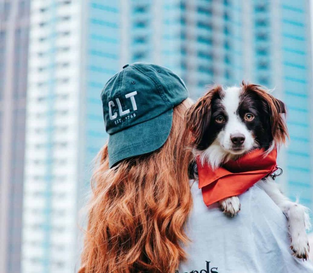 Little Friends Pet Sitting & Dog Walking in Charlotte, NC