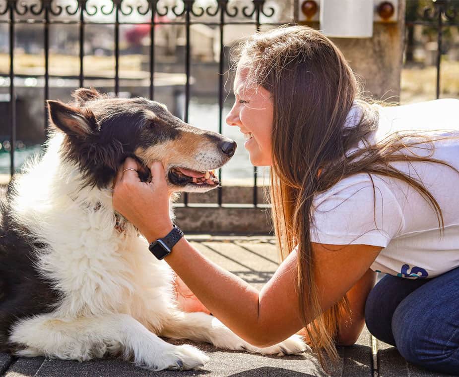 In-Home Pet Sitting: Dog Sitters & Cat Sitters in Charlotte