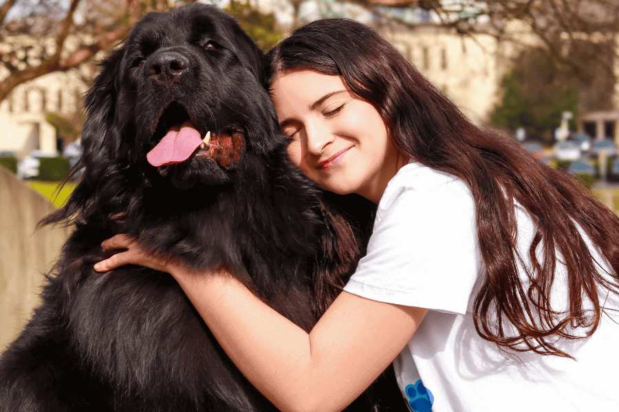 Overnight Pet Sitting Service Little Friends Pet Sitting