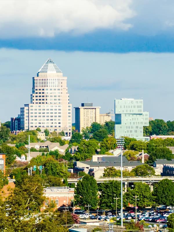 Pet Sitting & Dog Walking in Dilworth Charlotte​