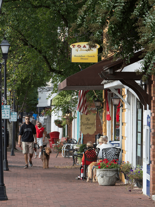 Pet Sitting & Dog Walking in Davidson​